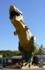 PICTURES/Drumheller - A Tourists Dream/t_Largest Diansaur1.JPG